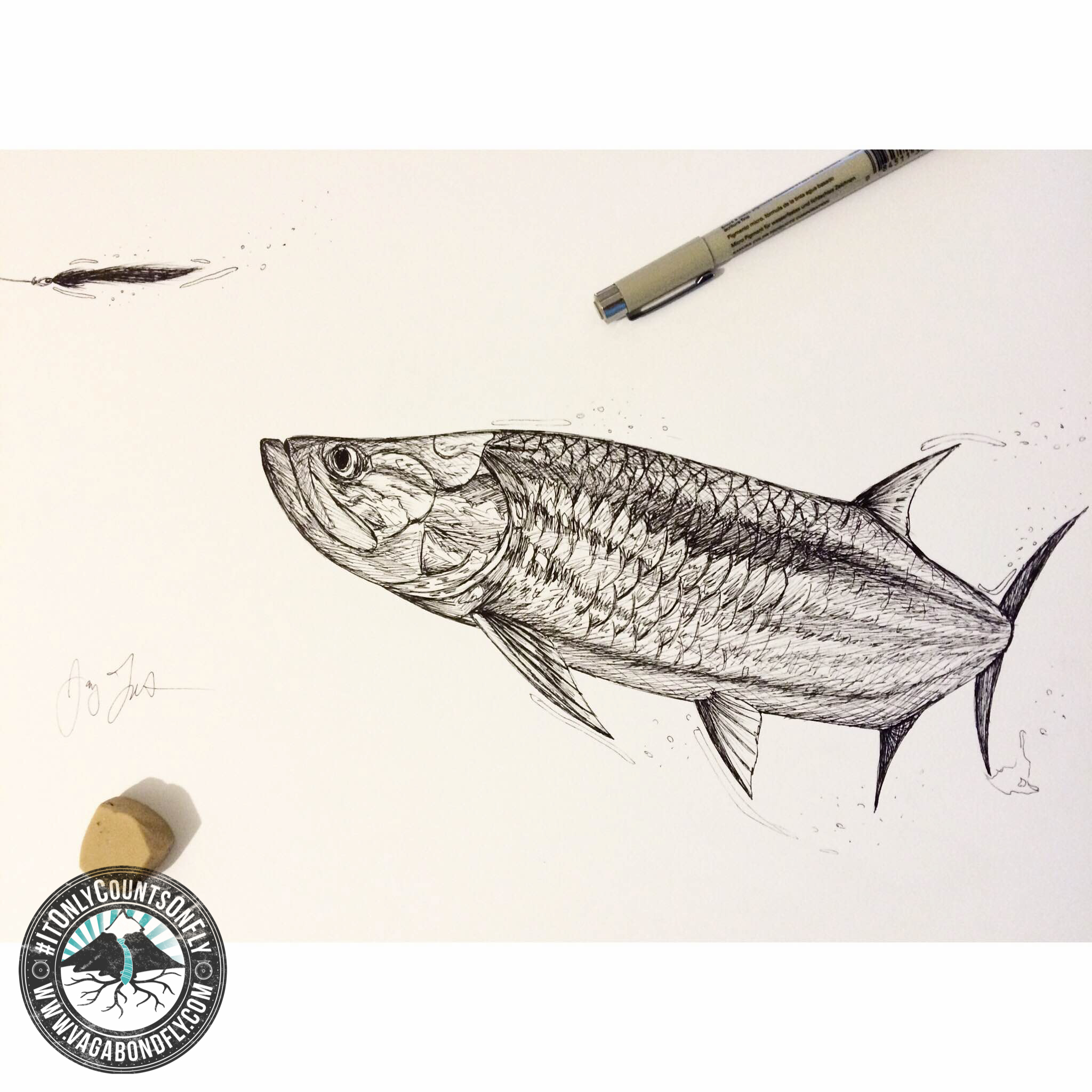 Tarpon Drawing at GetDrawings | Free download