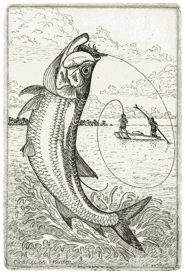 604x900 Leaping Tarpon Drawing By Charles Harden