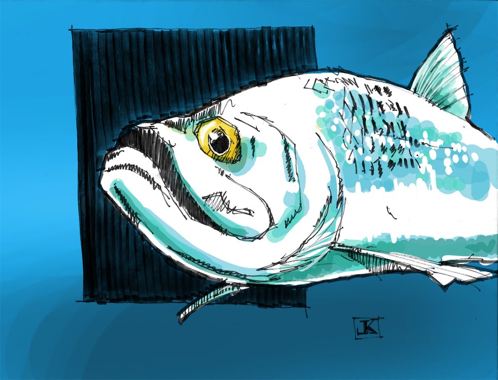 1000x764 Drawing Flies 365 Drawing Fish 52 7 Tarpon