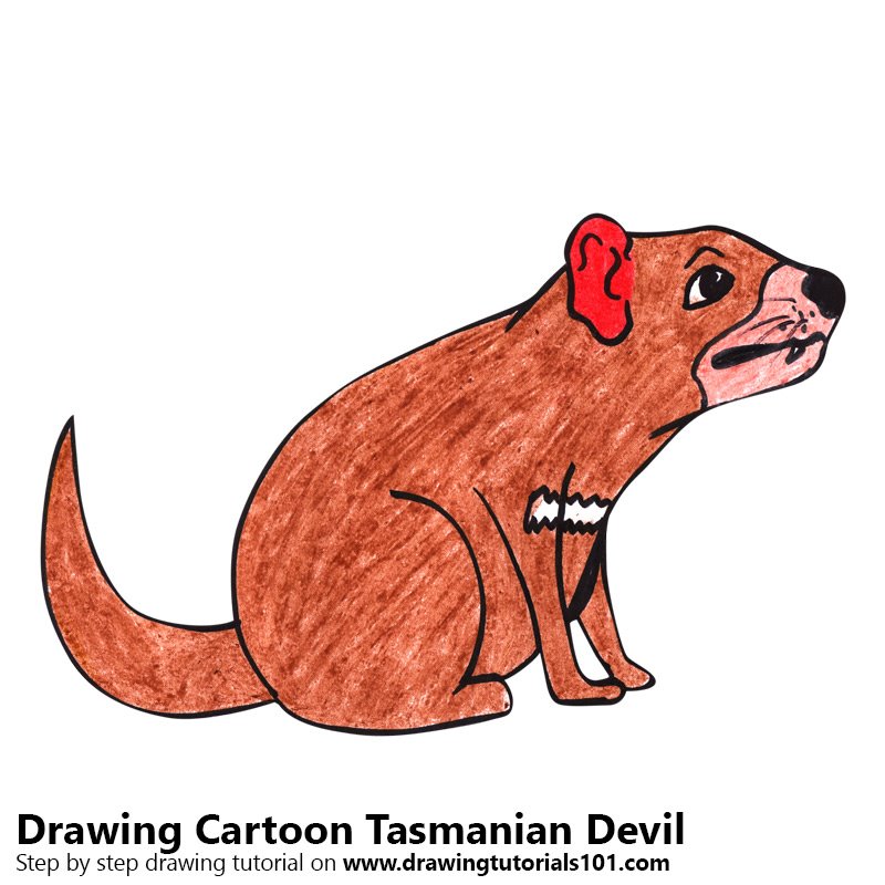 800x800 Learn How To Draw A Cartoon Tasmanian Devil (Cartoon Animals) Step