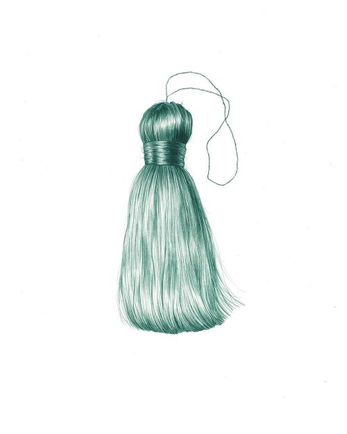 500x625 Tassel (Myrtle) Third And Final Drawing For Pencil