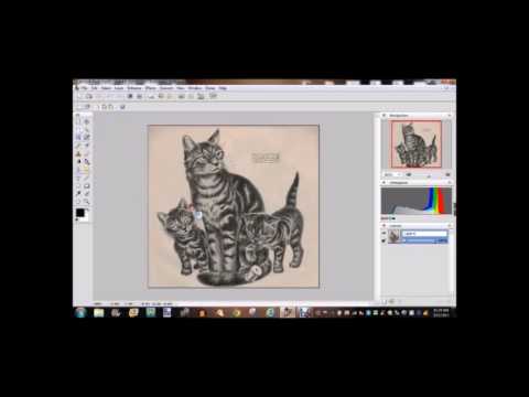 480x360 Free Software For Tattooing Tattoo University