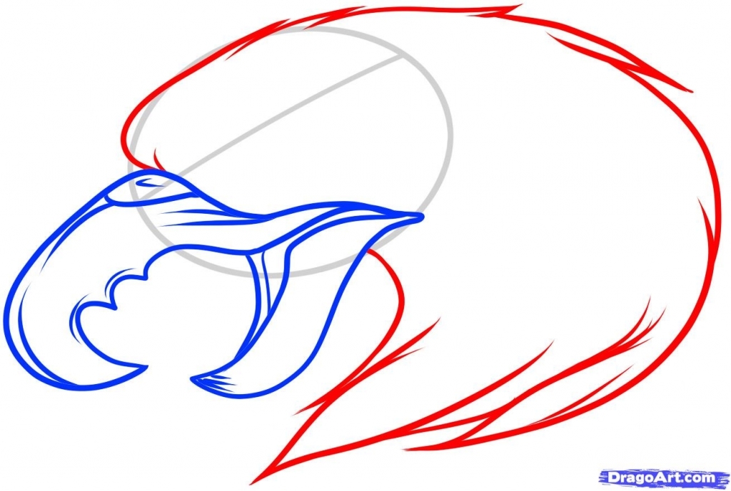 1024x689 How To Draw An Eagle How To Draw An Eagle Tattoo Eagle Tattoo Step