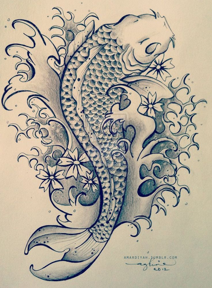 736x999 Koi Fish Tattoo Drawing Design Elaxsir