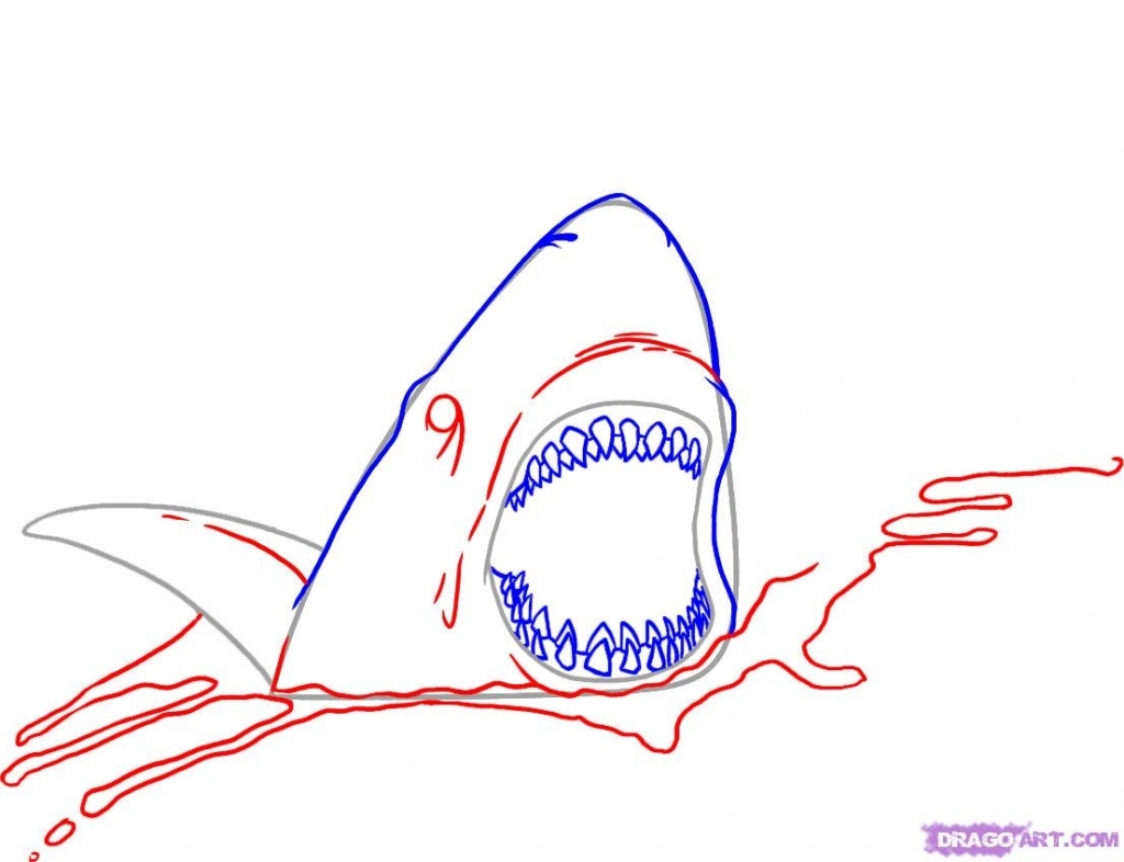 1024x786 How To Draw A Shark Step By Step How To Draw A Shark Tattoo Step