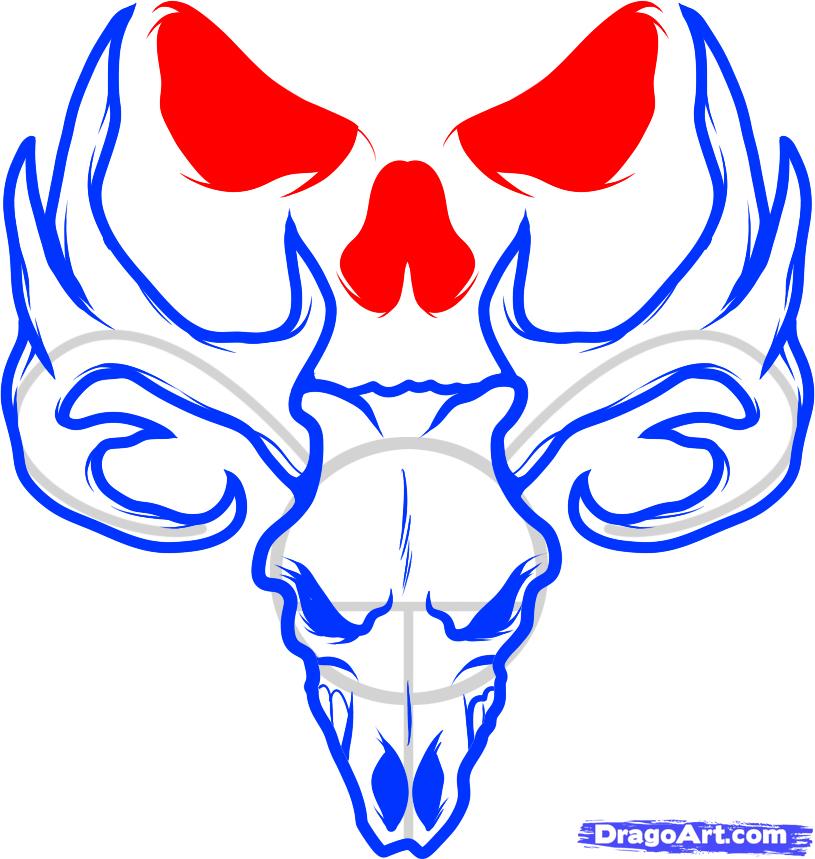 815x859 How To Draw A Deer Skull, Deer Skull Tattoo, Step By Step, Skulls