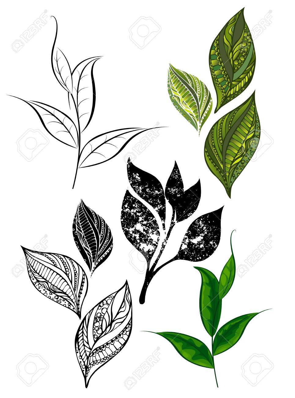 965x1300 Set Of Patterned, Silhouette, Green Black Tea Leaves