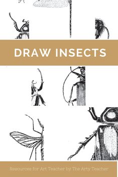 235x353 Drawing Skills Bundle Resources For Art Teachers Tes