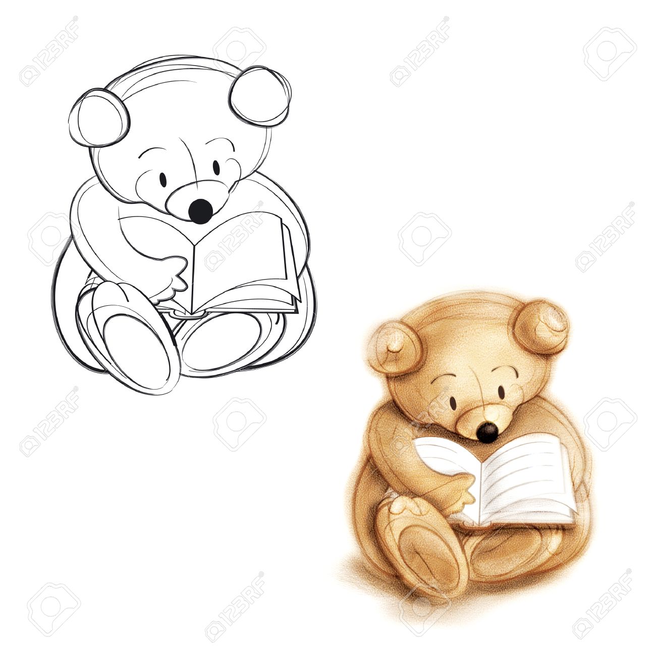 1300x1300 Teddy Bear Reading A Book. Drawing Bear. Stock Photo, Picture