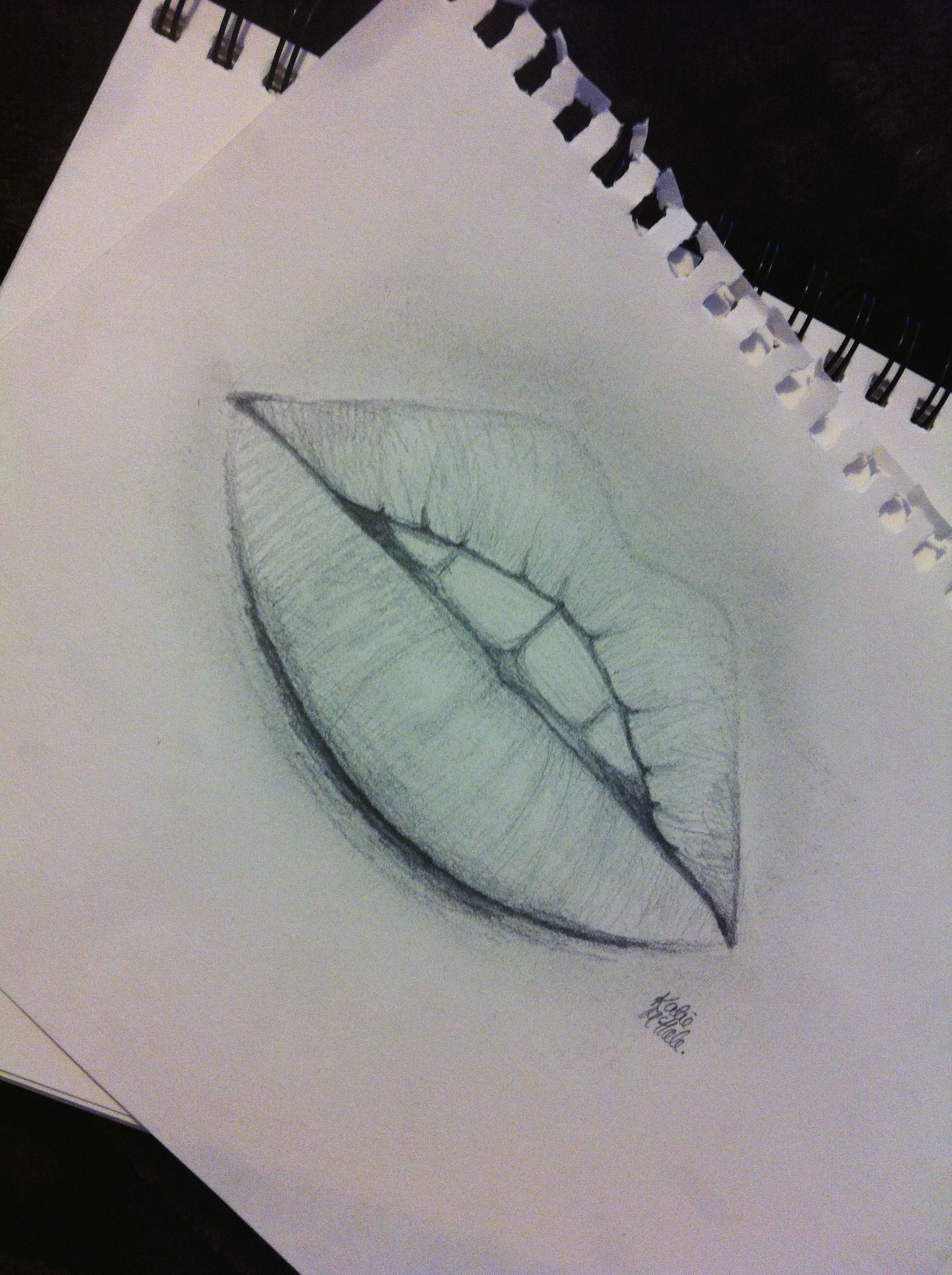 1936x2592 Pencil Drawing Mouth, Lips, Teeth Art Work I Love