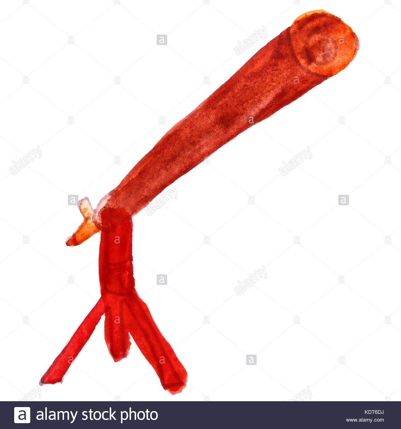 1300x1390 Watercolor Drawing Kids Cartoon Telescope On A White Background