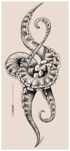 236x509 Octopus Tentacles Drawing