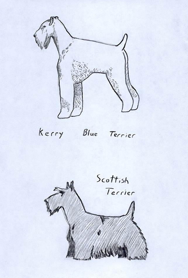 643x950 Drawings Draw 50 Dogs