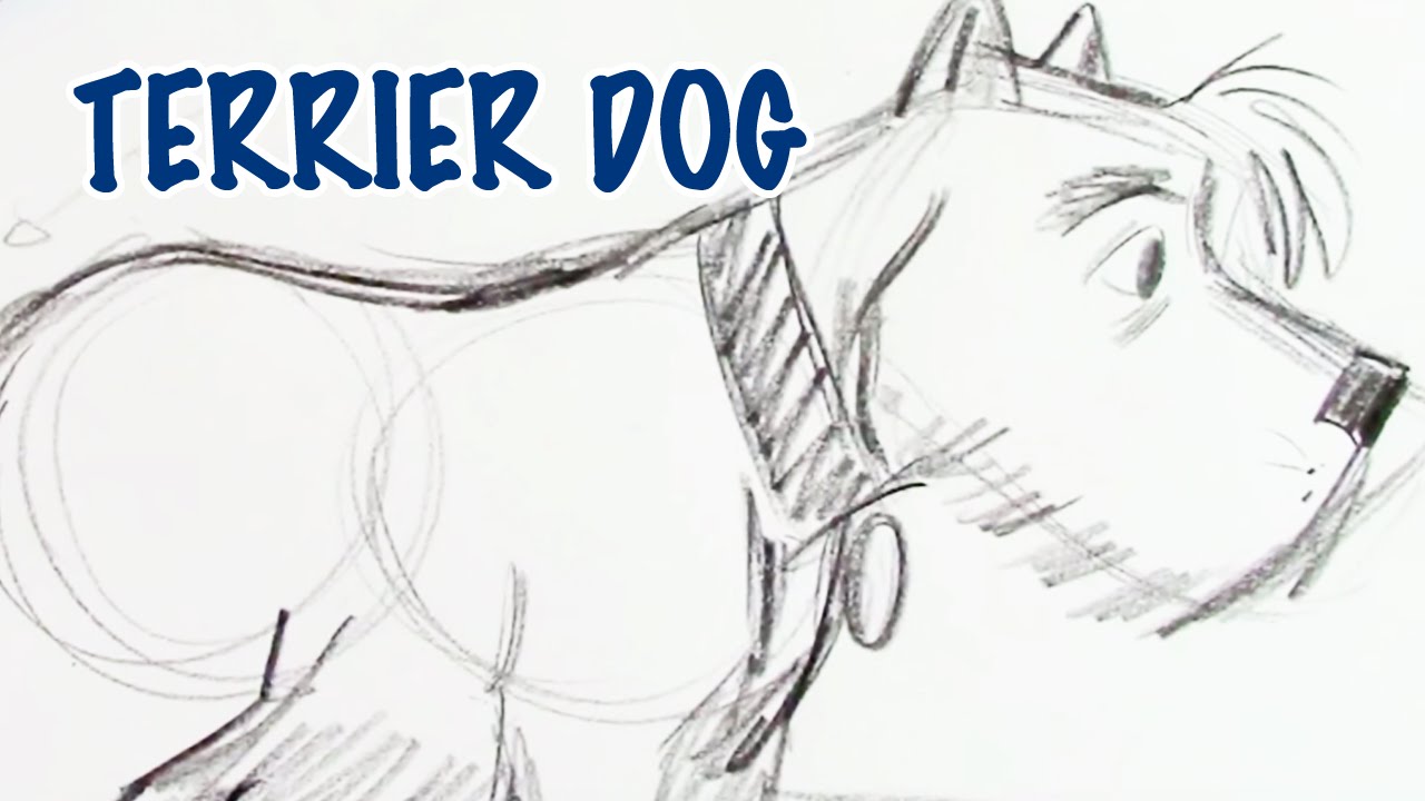 1280x720 How To Draw A Terrier Dog (Step By Step)