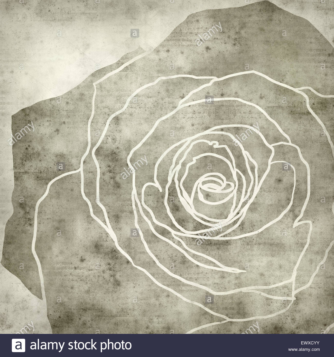 1300x1390 Textured Old Paper Background With Rose Flower Drawing Stock Photo