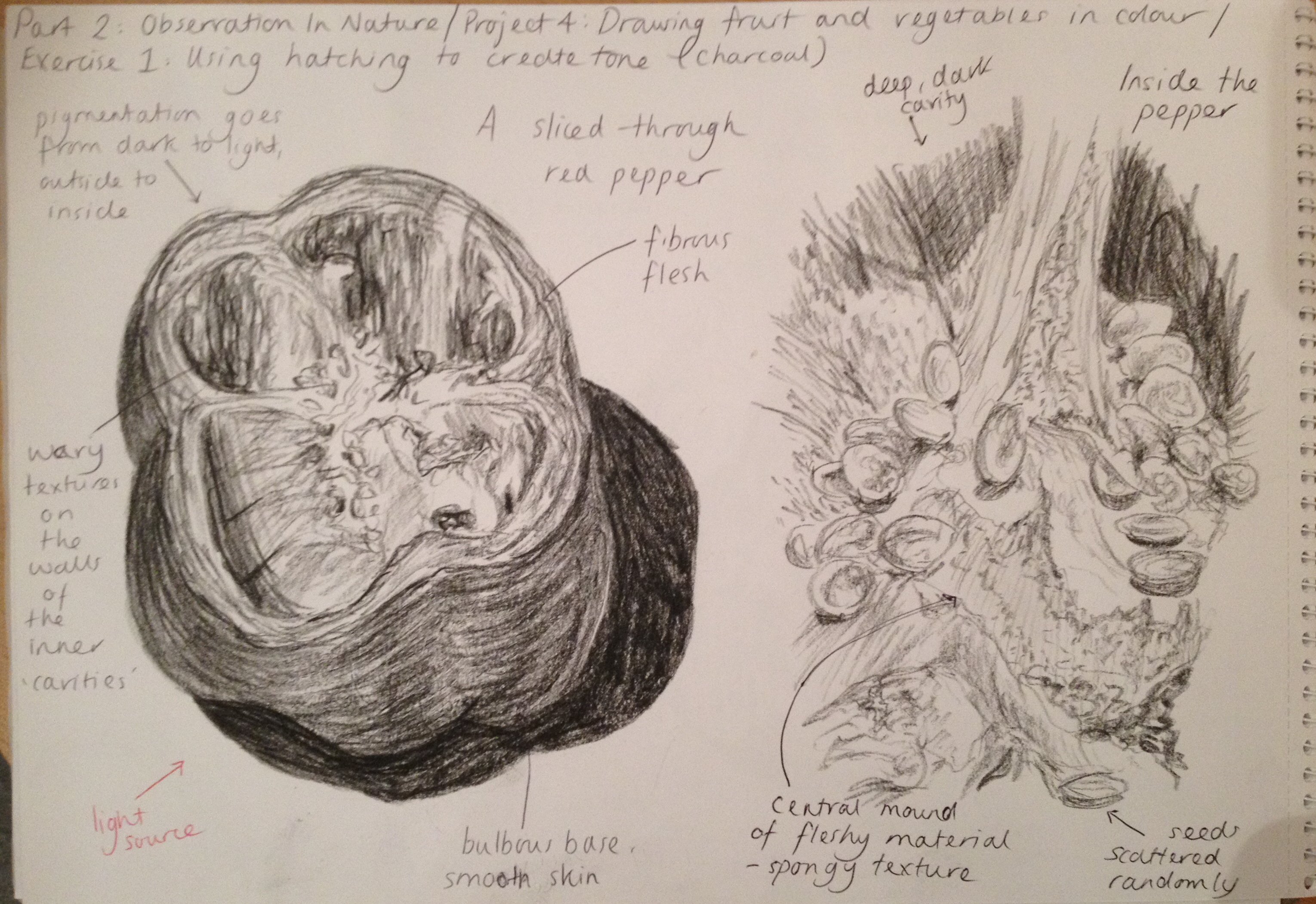 3059x2101 Textured Fruit Drawing