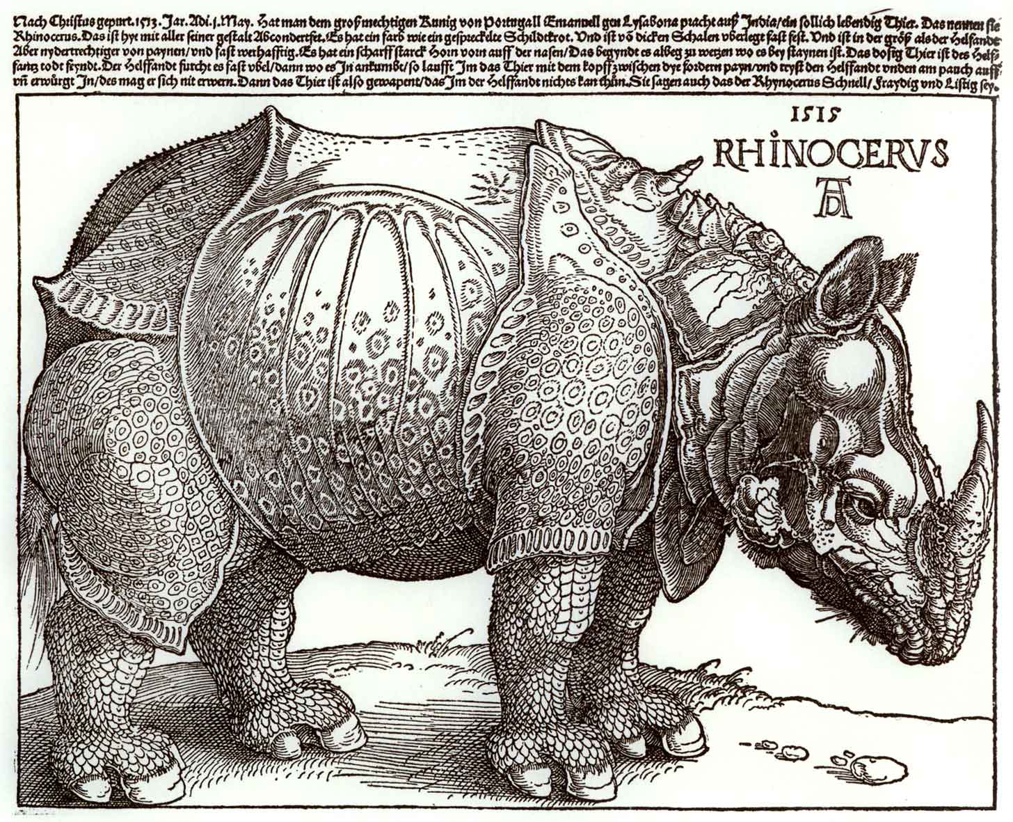 1456x1181 Brackettarts! Grade One Drawing Animal Textures