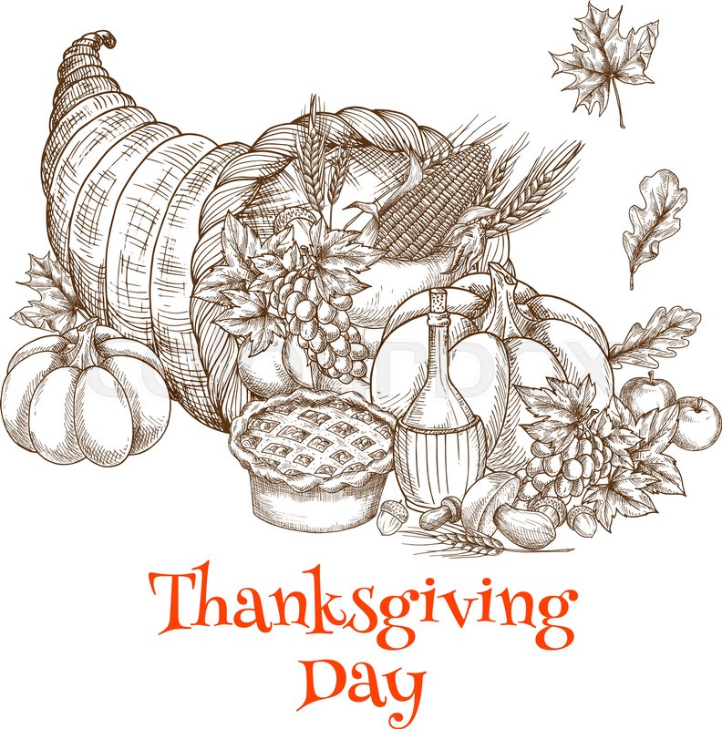 792x800 Thanksgiving Greeting Card With Sketch Decoration Element Of Horn