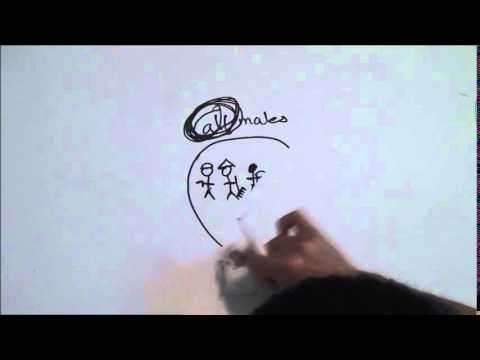 480x360 The Great Wall Of China (Drawing)