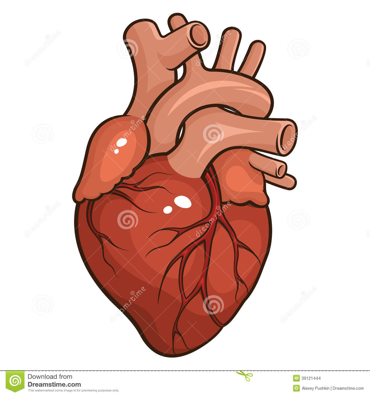1300x1390 Human Heart Drawing Simple Human Heart Stock Vector