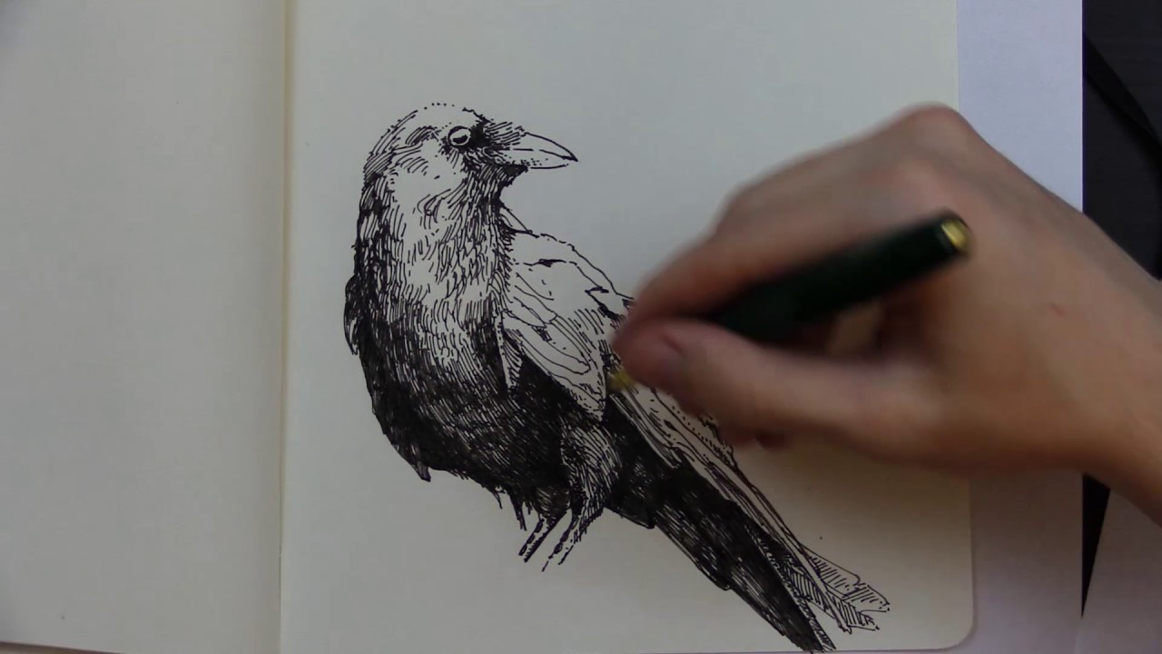 1280x720 The Raven ~ Edgar Allan Poe (Reading And Sketch)