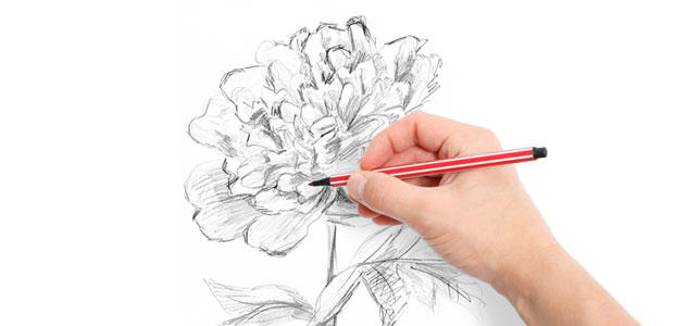 620x300 Therapeutic Drawing Alive