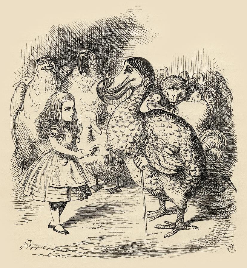 827x900 The Dodo Solemnly Presents Alice With A Drawing By Vintage Design Pics