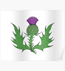 210x230 Scottish Thistle Drawing Posters Redbubble