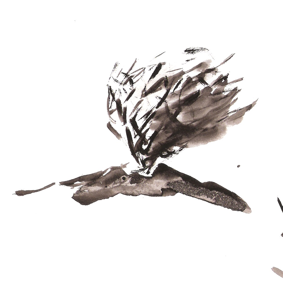 975x1018 Sketch Of A Thornbush On A Hilltop 17 03 15 1 Peter Davey