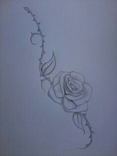 236x314 Rose And Thorn Covered Vine Drawing Cool Drawings