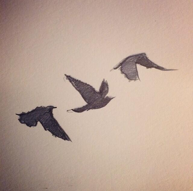 640x632 Oiseaux Tatoo Tobias, Divergent And Tattoo