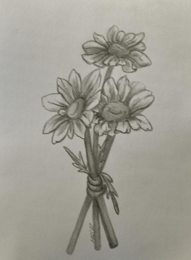 660x900 Three Daisies Drawing By Mary Simms