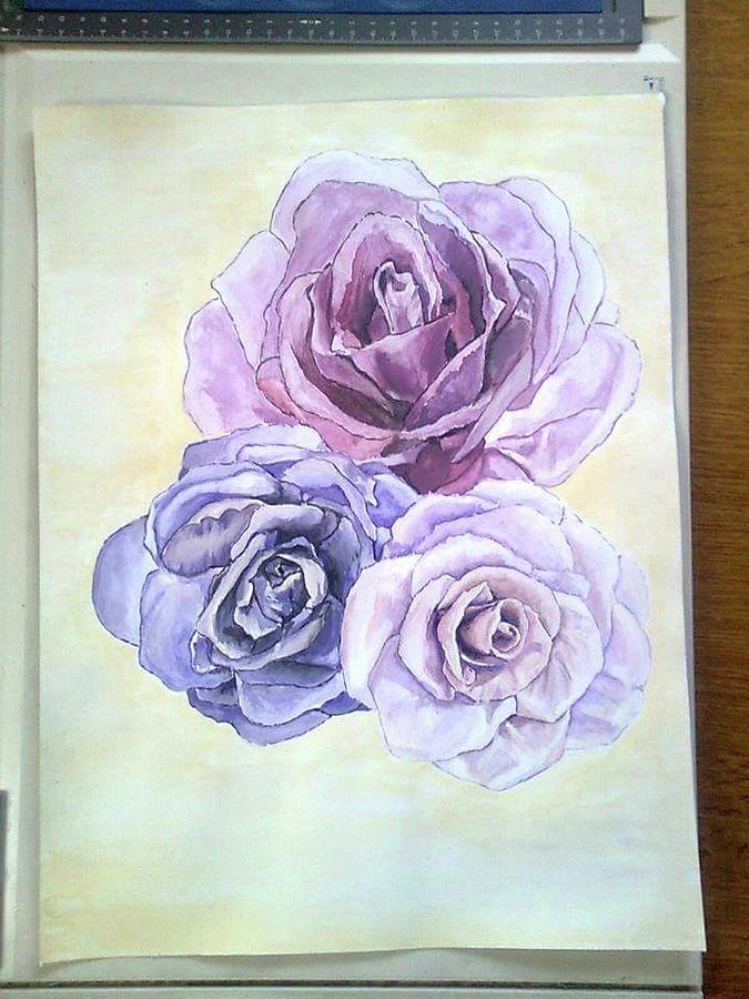 675x900 Three Roses Drawing By Adnan Kulin