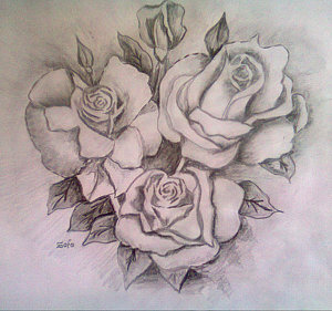300x281 Three Roses Drawings