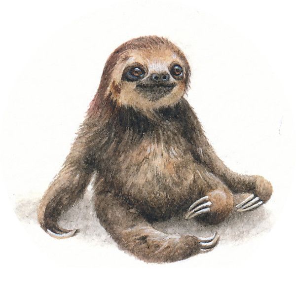 600x600 Day 3100 25x24mm Timoteus The Sloth.