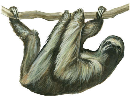 450x326 Stock Illustration