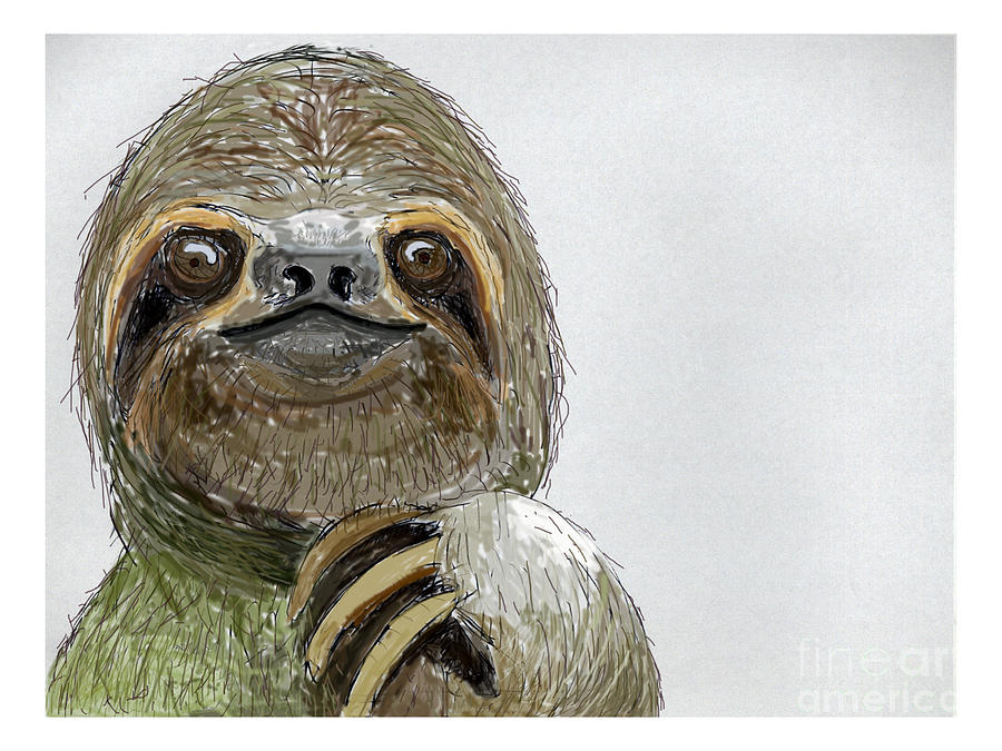 900x675 Sydney The Three Toed Sloth Digital Art By John Gaffen
