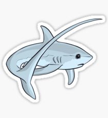 210x230 Thresher Shark Stickers Redbubble