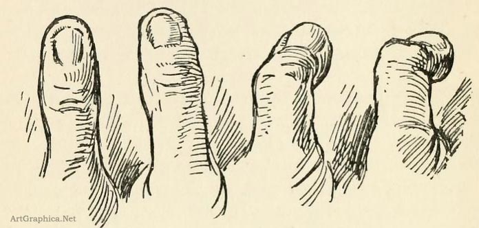 696x332 How To Draw Hands, Art Book For Beginners