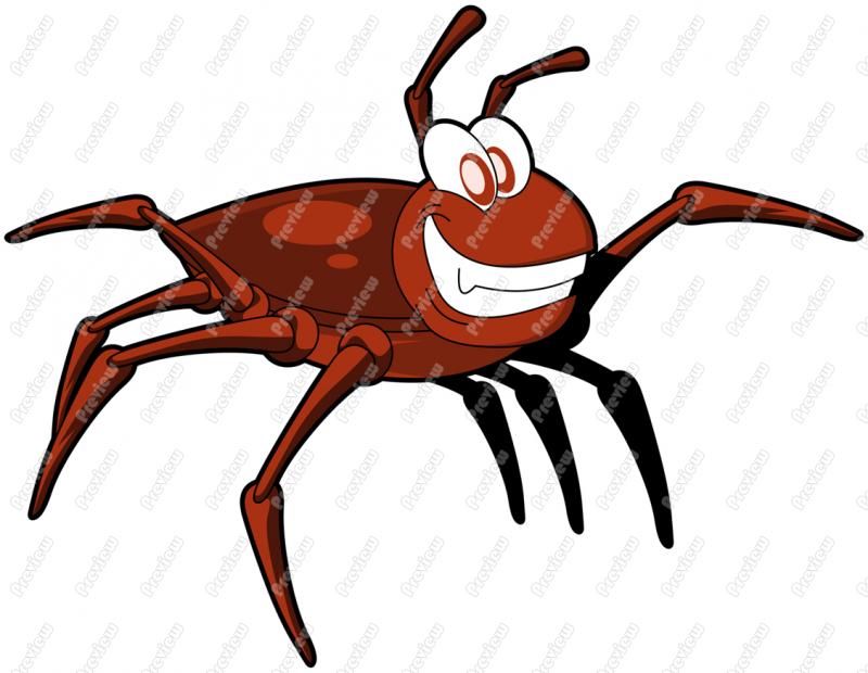 800x620 Gallery For Gt Tick Cartoon Insect Camping