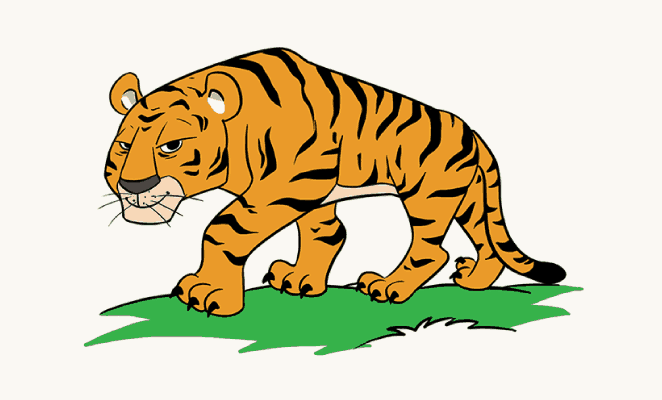662x400 Pictures Tiger Cartoon Drawing,