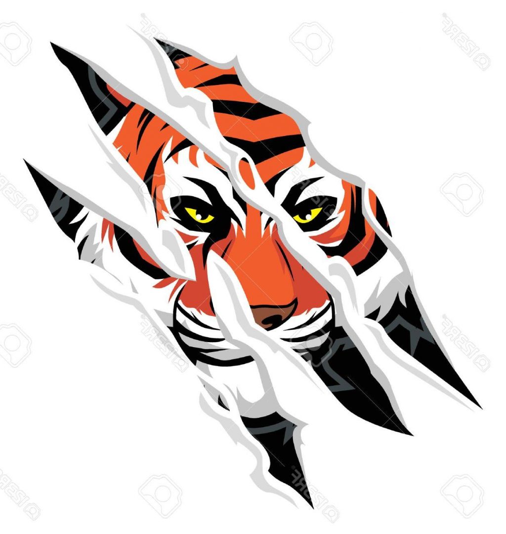 Tiger Claw Drawing at GetDrawings | Free download