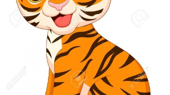 570x320 Cartoon Tiger Drawing Cartoon Tiger Images Stock Pictures Royalty
