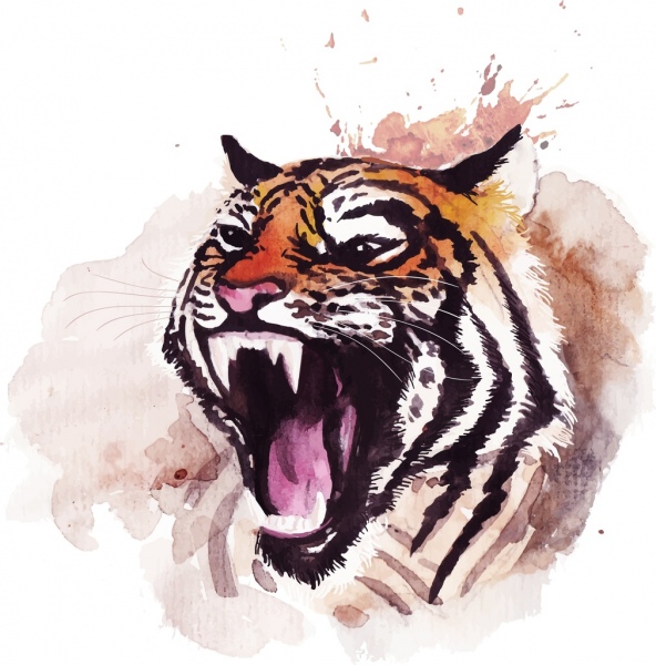 592x600 Tiger Drawing Grunge Watercolor Handdrawn Decor Free Vector