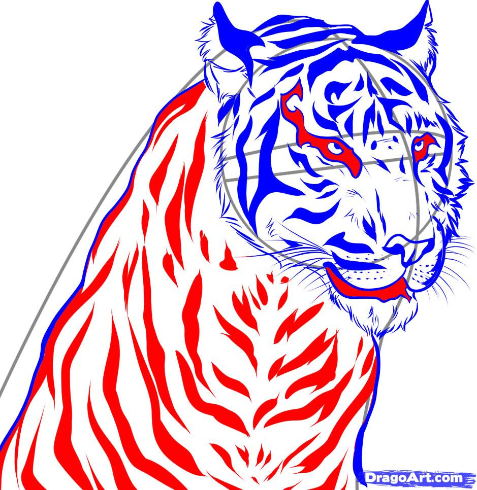 939x966 Pencil Drawing Of Tiger Step By Step How To Draw A Realistic Tiger