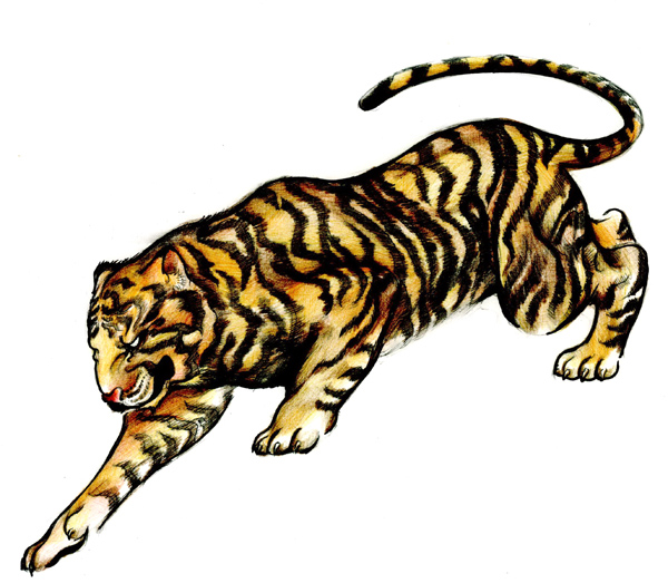 600x523 How To Draw A Tattoo Style Tiger With Colored Pencils