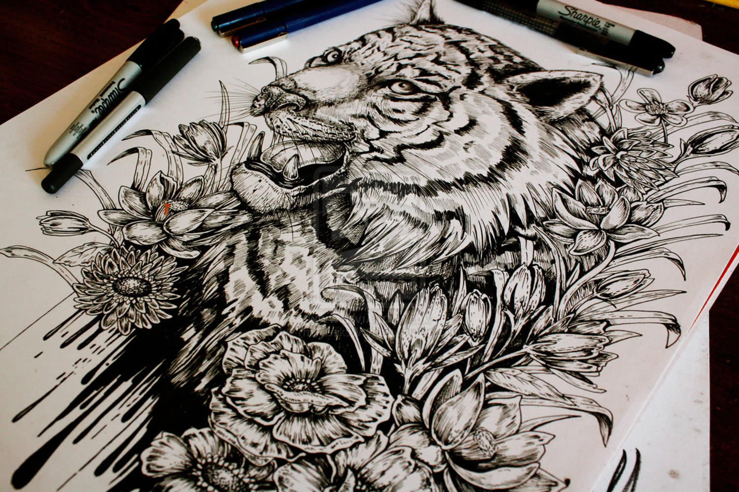 1500x1000 Tiger Drawing By E.g. The Freak Illustration Drawing