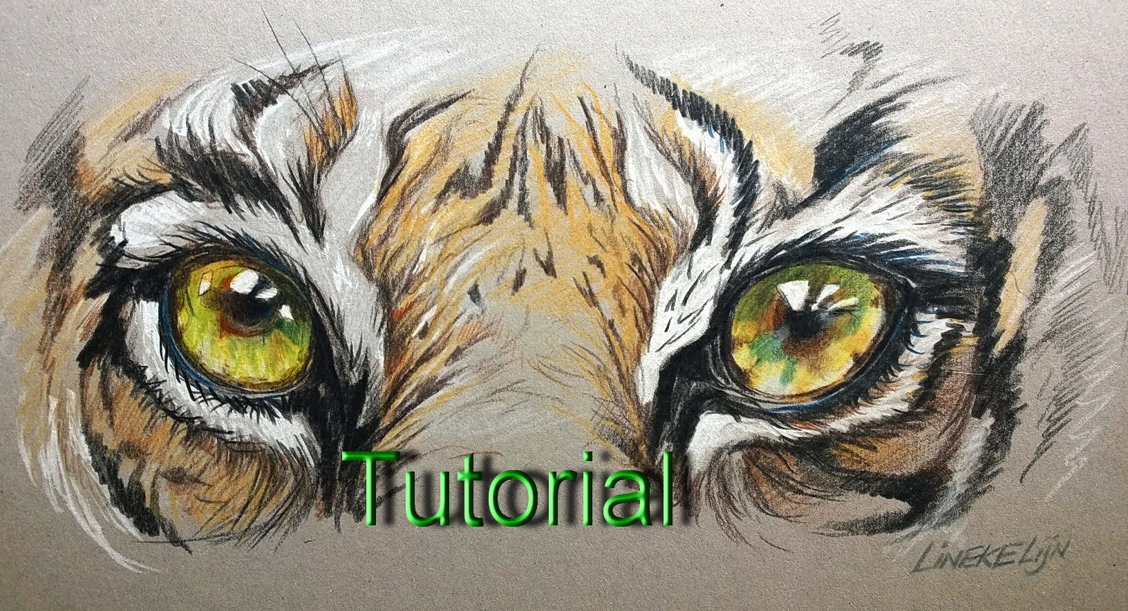 1632x885 Drawing Realistic Tiger Eye For Beginners