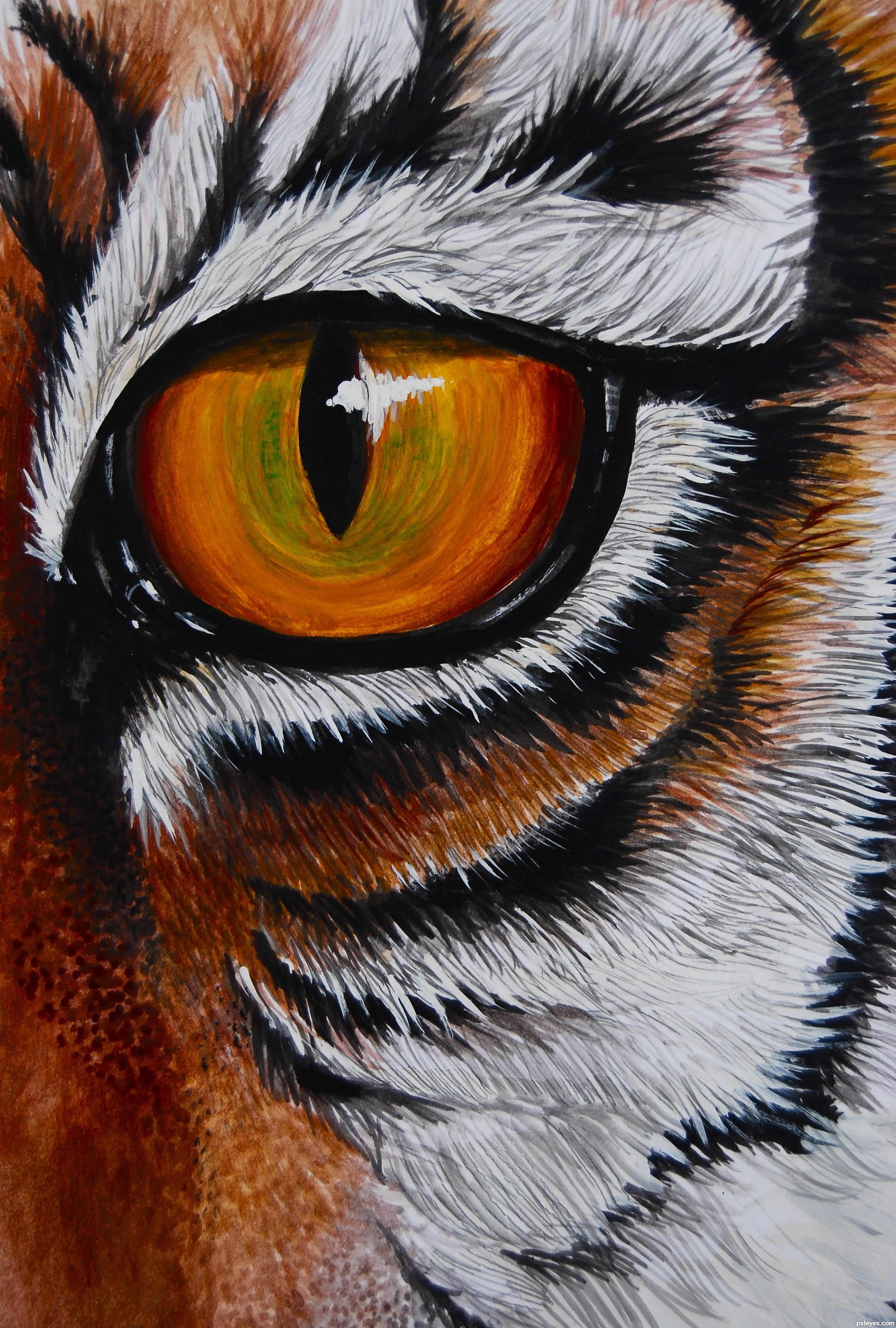 2531x3751 The Eye Of The Tiger Picture, By Momof4boyoboys For Tigers Td