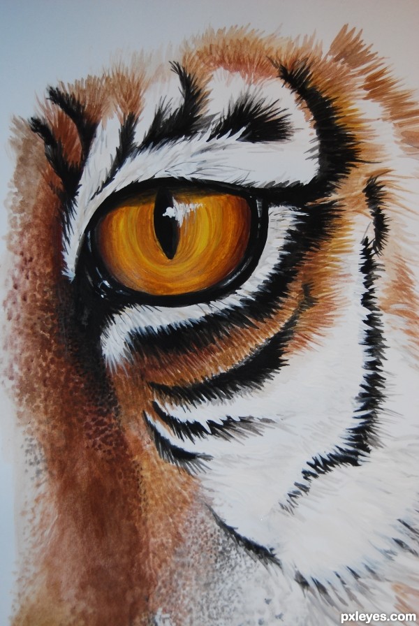 Tiger Eyes Drawing at GetDrawings | Free download